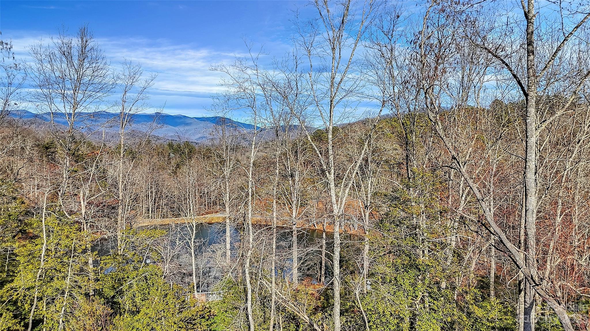 166 Workman Road, Unit 8 & 9 Sylva, NC 28779 - Photo 6 of 23 Gallery Image 6
