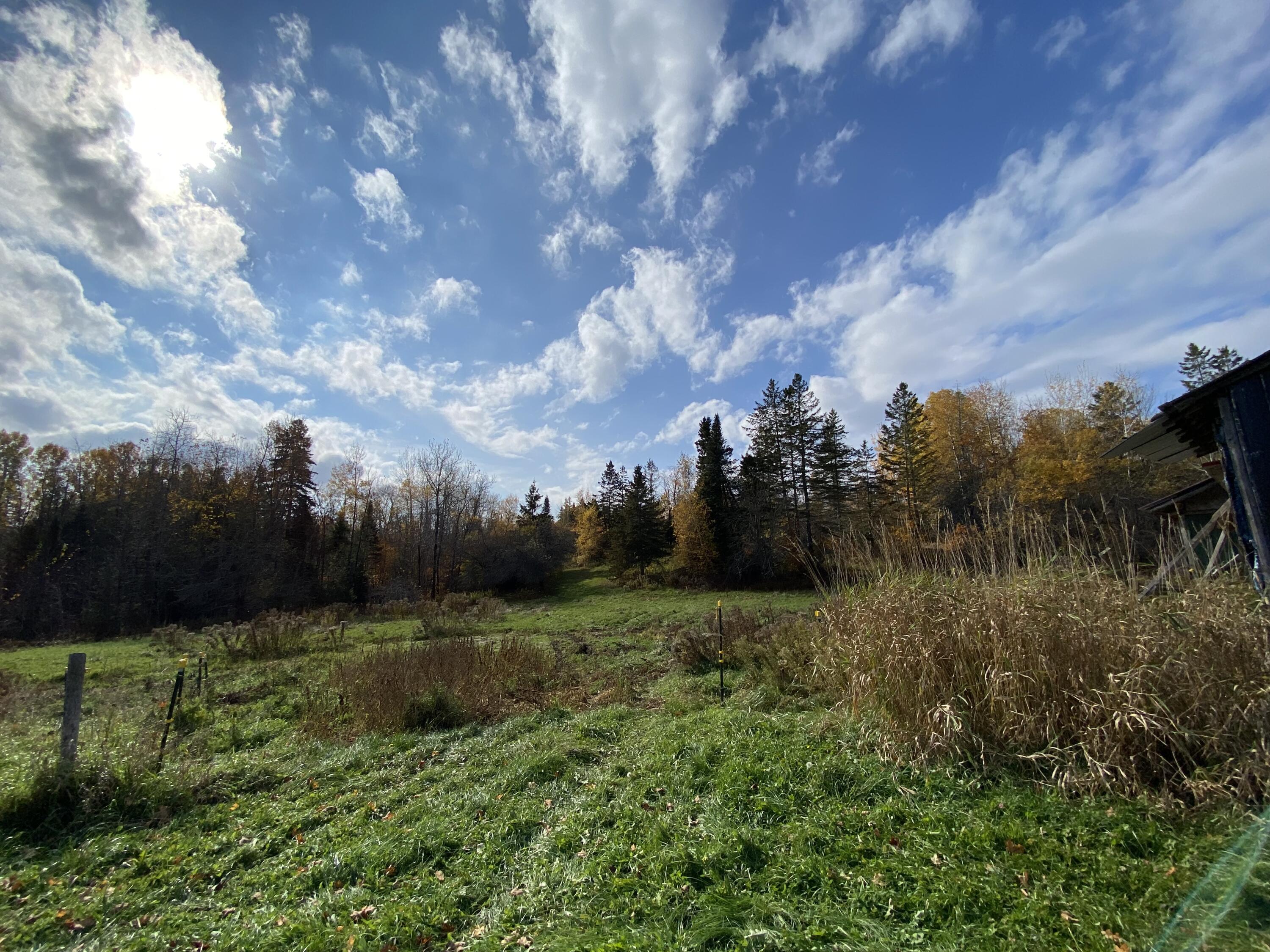 1142 B Road Hammond, ME 04730 - Photo 5 of 22 IMG_9175