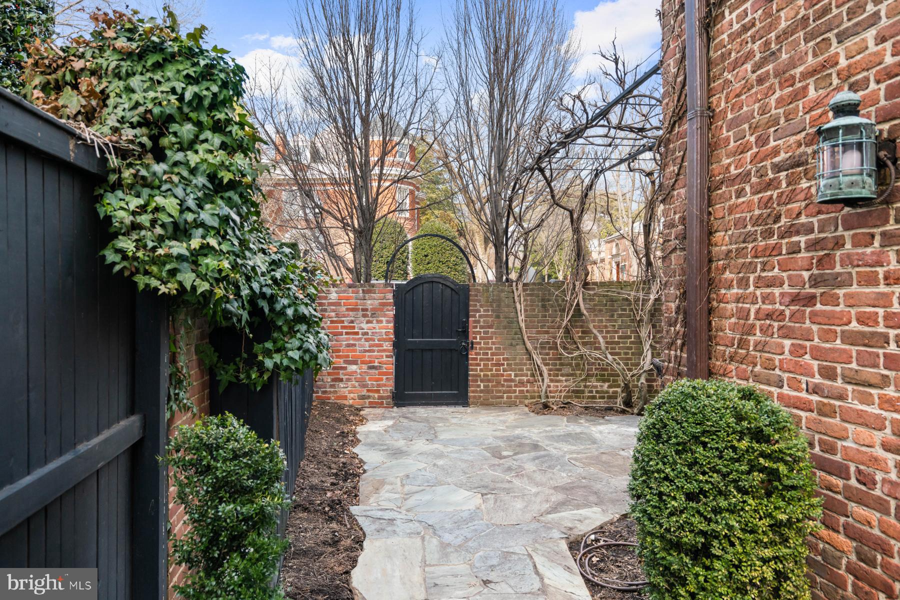 1698 32nd Street Northwest Washington, DC 20007 - Photo 24 of 29 a large tree in front of a brick house