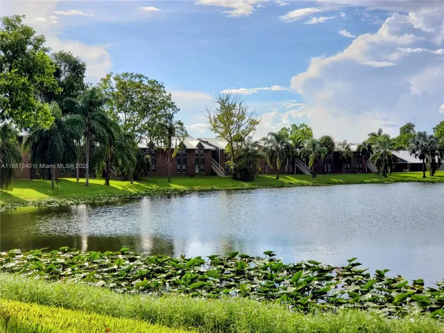 a view of yard with trees