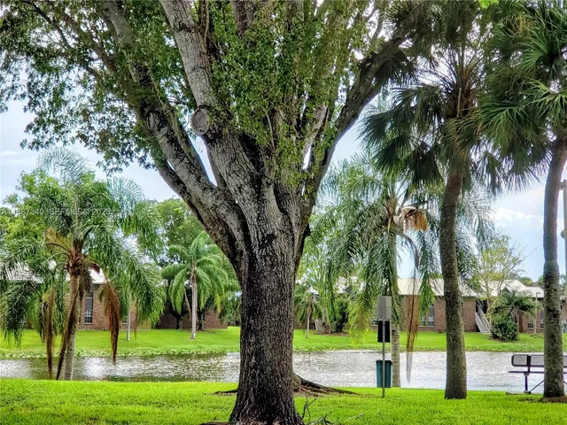 a wooden bench sitting in a park with large trees