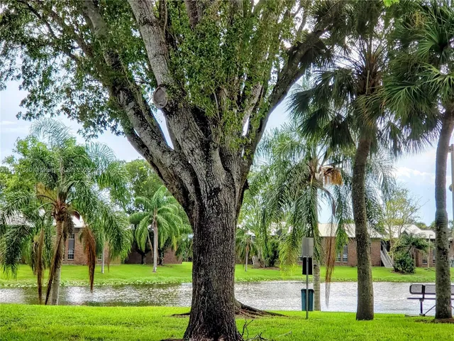 a wooden bench sitting in a park with large trees