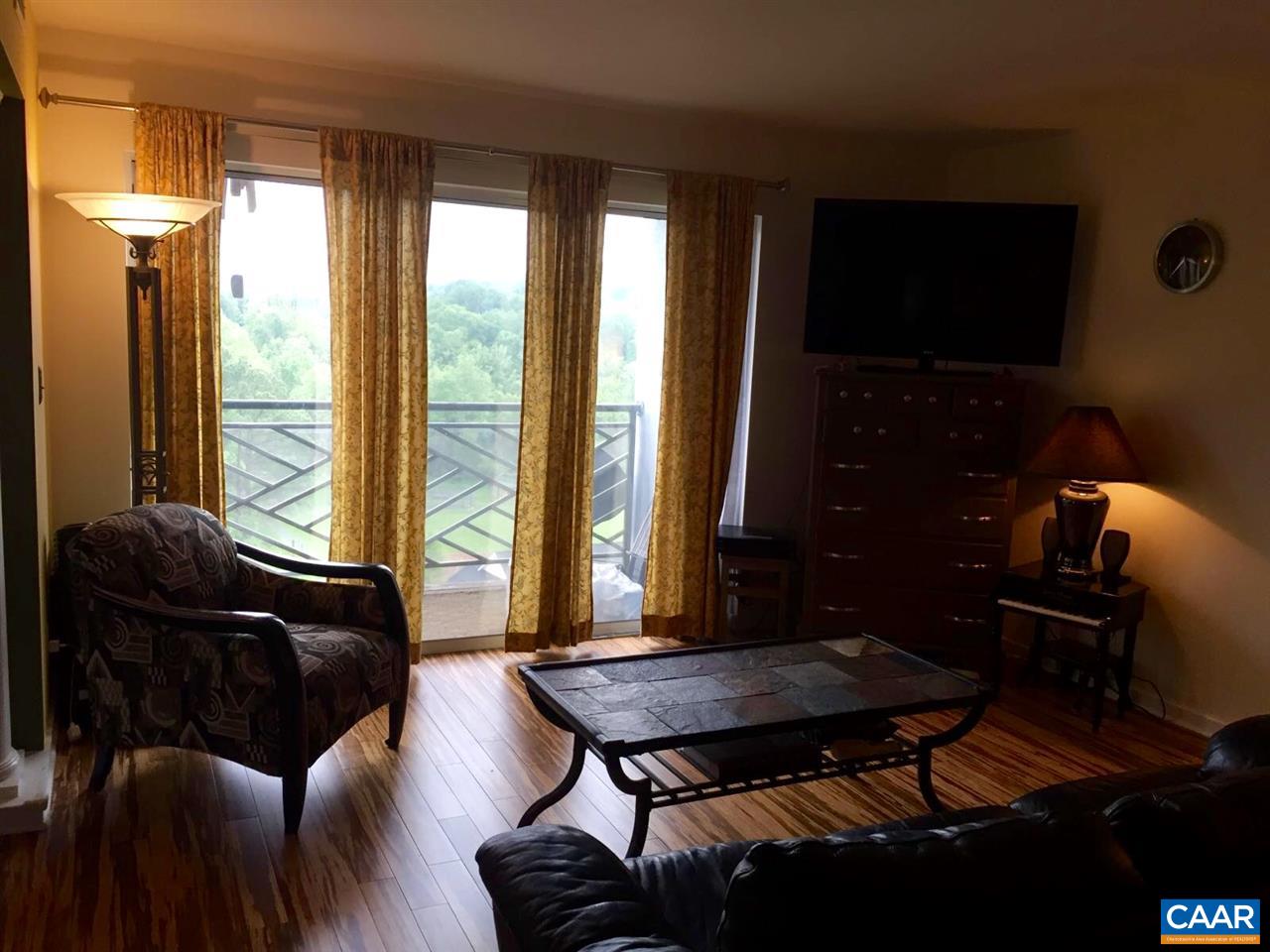 1612 Monticello Road, Unit F Charlottesville, VA 22902 - Photo 11 of 13 Gallery Image 11