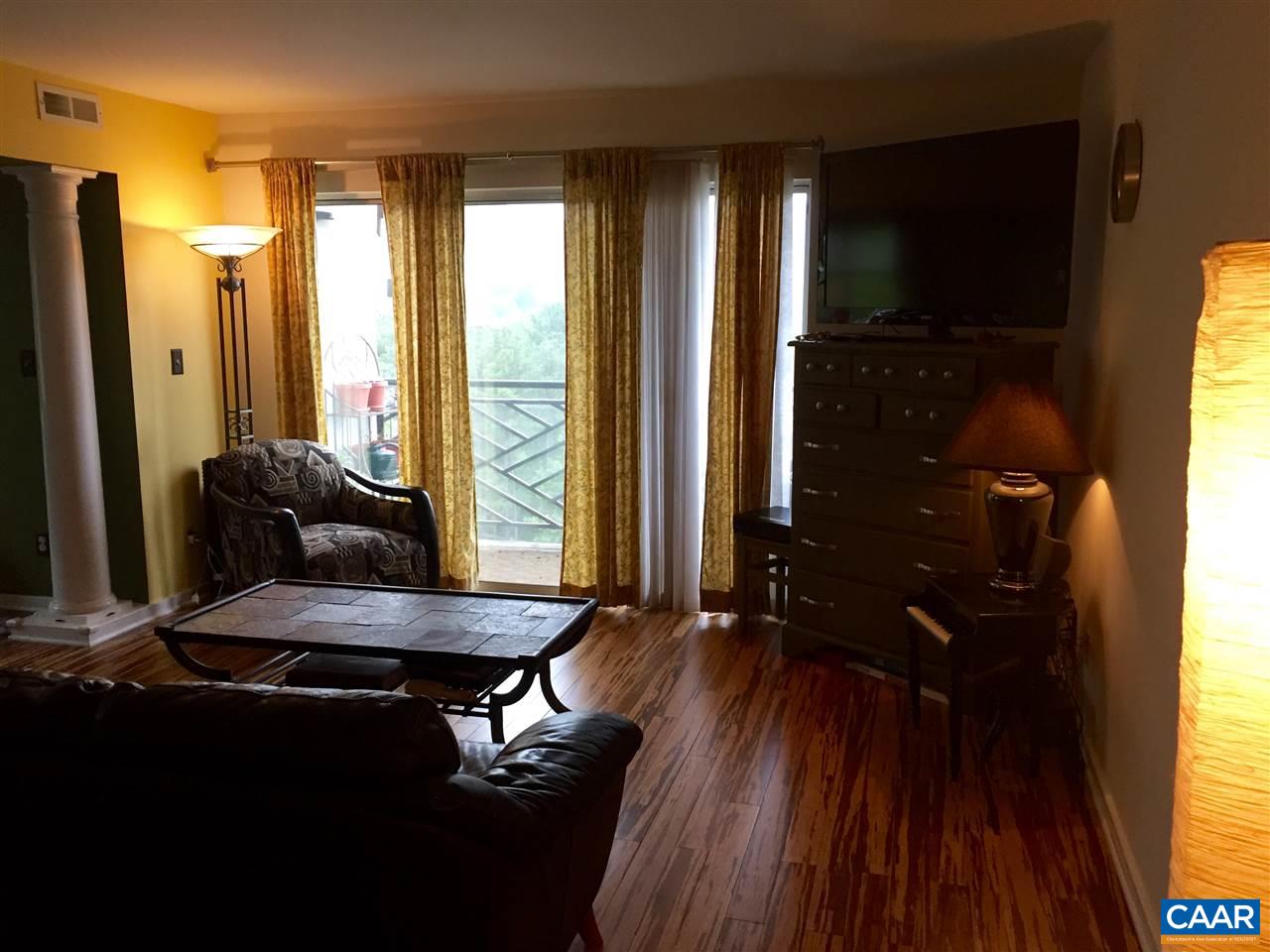 1612 Monticello Road, Unit F Charlottesville, VA 22902 - Photo 3 of 13 Gallery Image 3