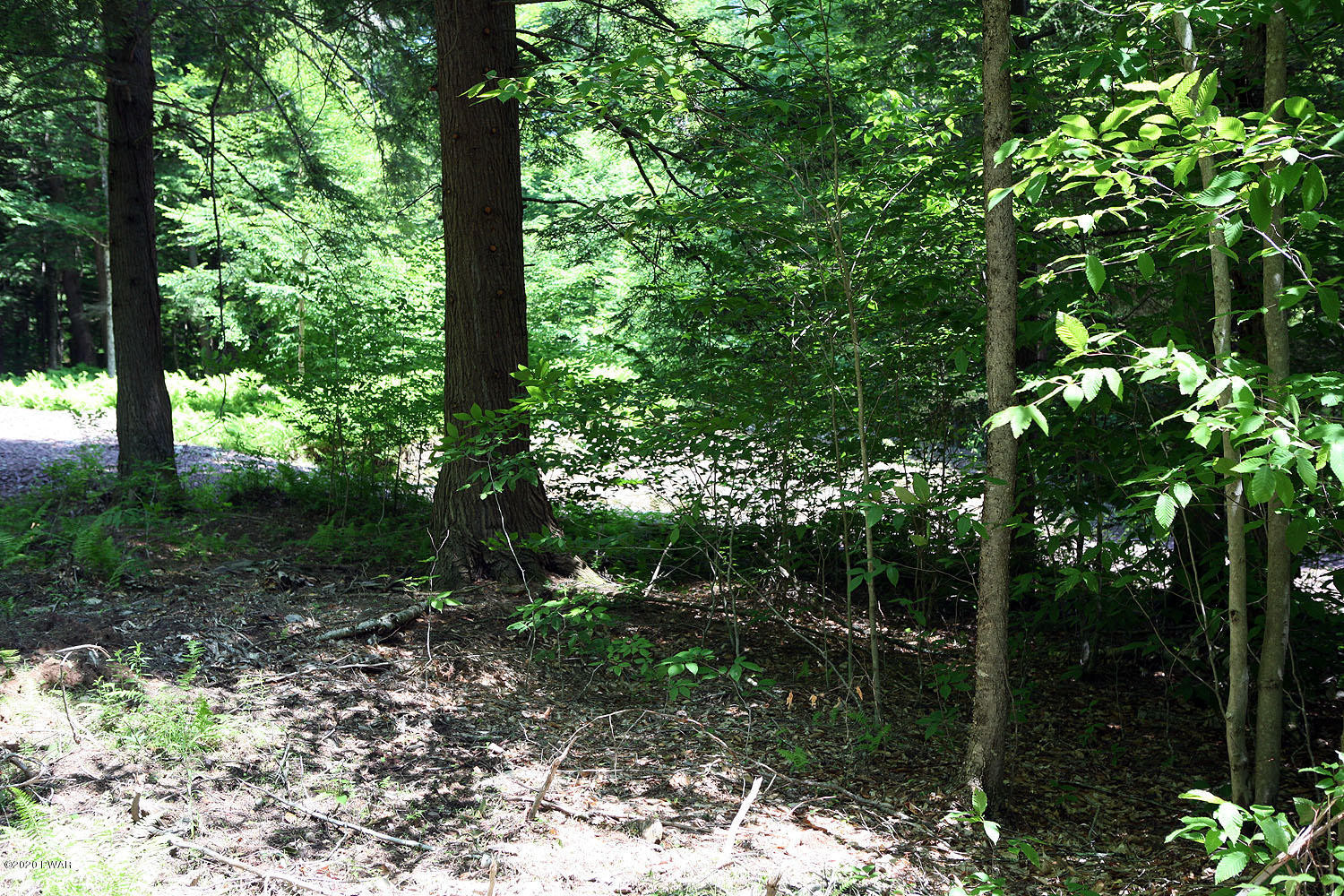 0 Braman Road Equinunk, PA 18417 - Photo 35 of 36