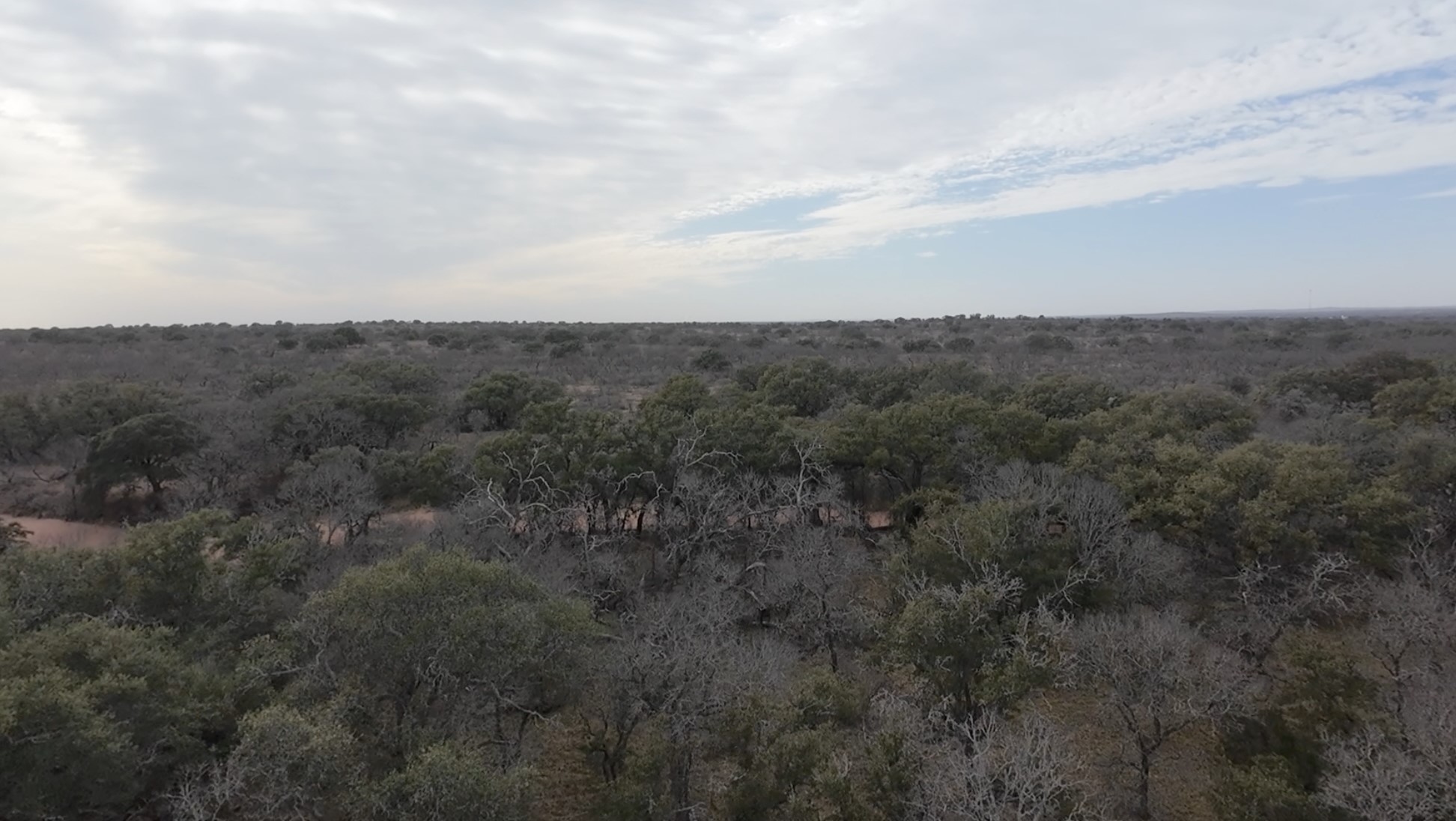 0 Rr 152 Llano, TX 78643 - Photo 12 of 20 View of wooded area