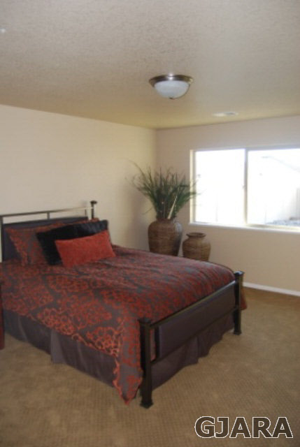 167 Red Rocks Street Fruita, CO 81521 - Photo 6 of 9 a bedroom with a bed and window