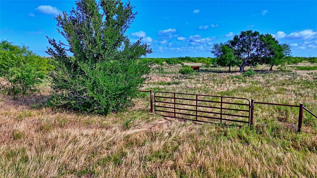 576 Seabourn Road Henrietta, TX 76365 - Photo 8 of 39