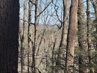 Lot 14 Butler Creek Road Cherry Log, GA 30522 - Photo 3 of 8 Gallery Image 3