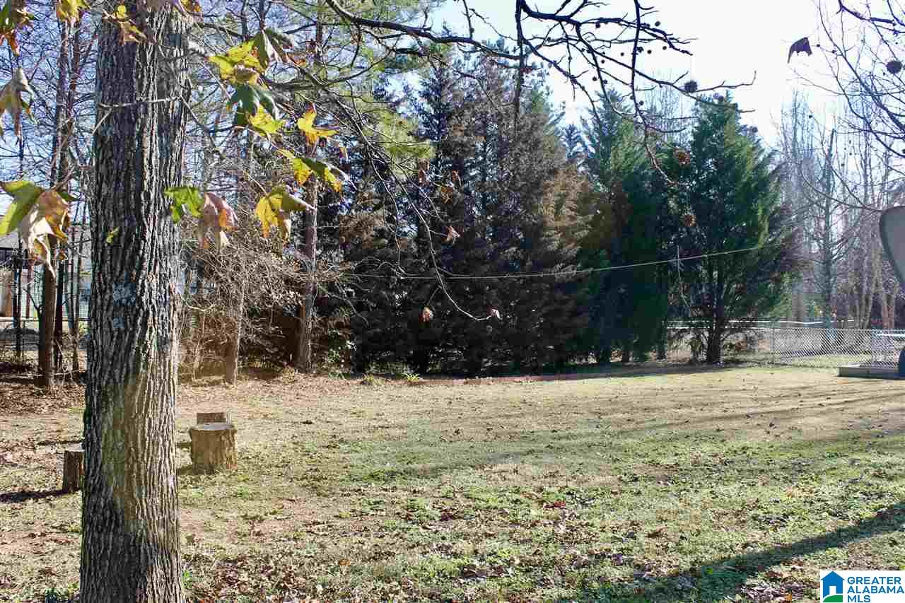 1196 Whites Gap Road Southeast Jacksonville, AL 36265 - Photo 24 of 25