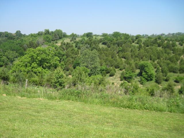 550 Corinth Road Corinth, KY 41010 - Photo 2 of 10 Gallery Image 2