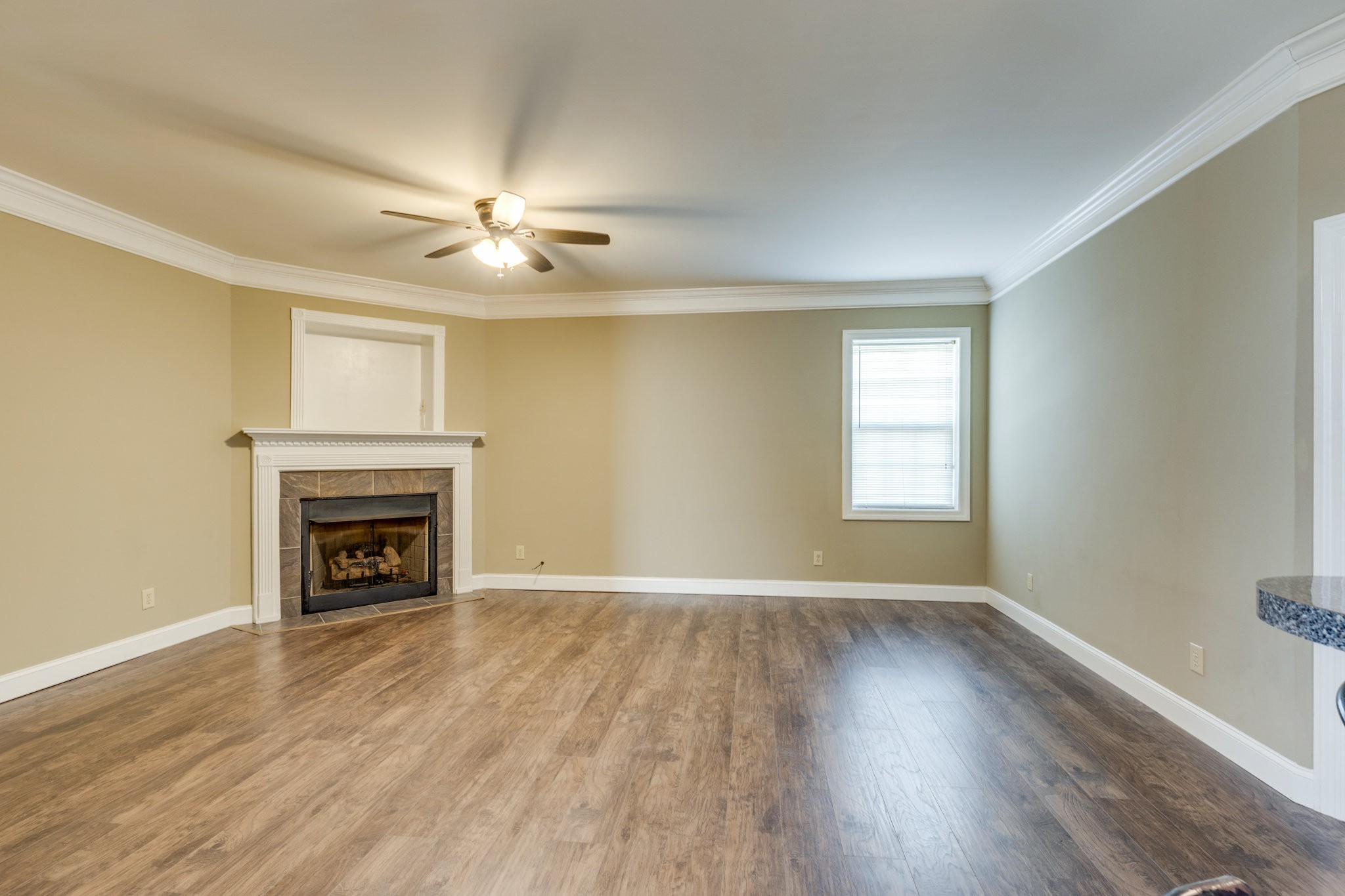 4655 Hardison Mill Road Columbia, TN 38401 - Photo 12 of 47 an empty room with windows fireplace and a wooden floor