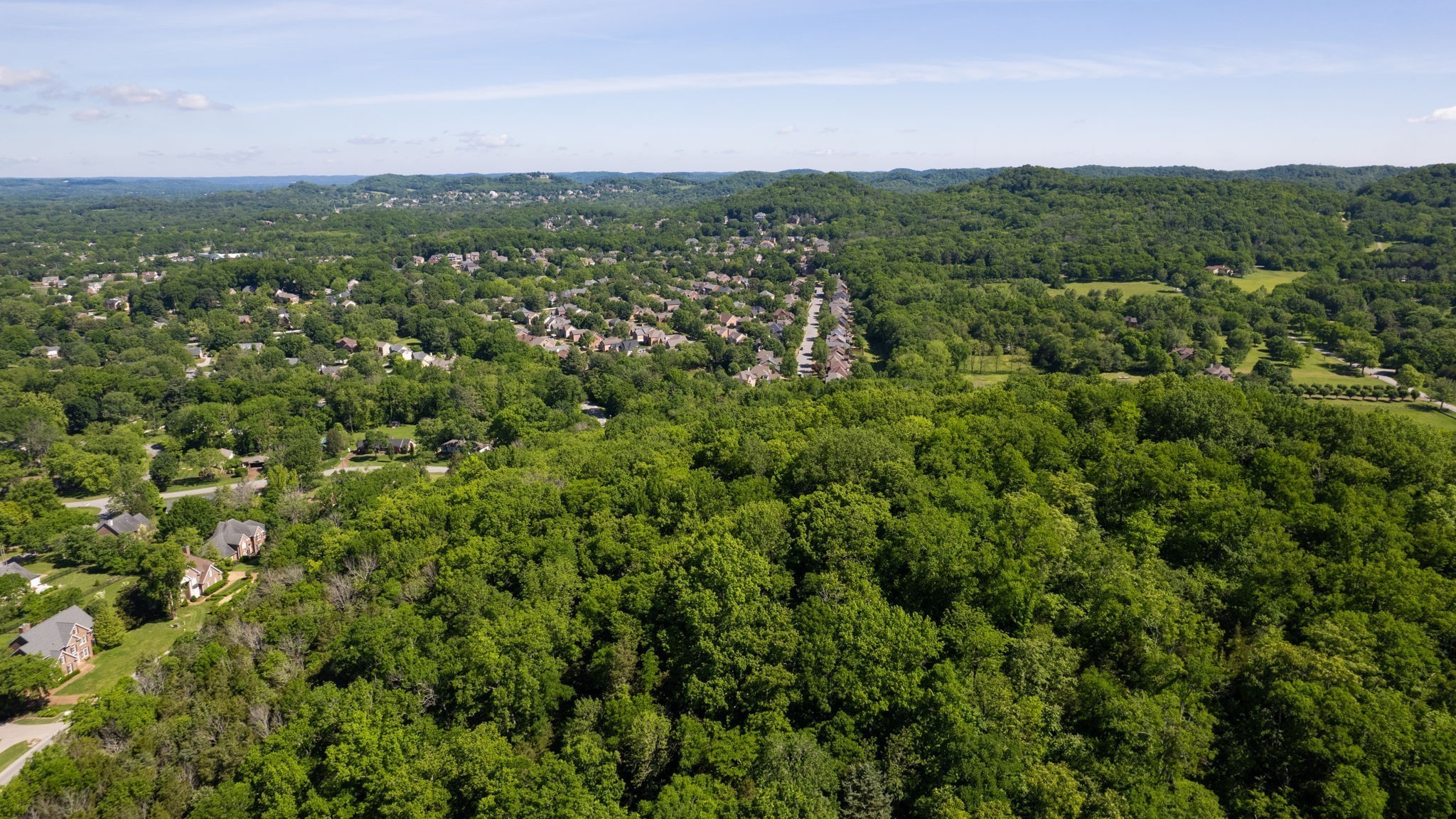 240 Spencer Creek Road Franklin, TN 37069 - Photo 16 of 16 a view of a green field with lots of bushes