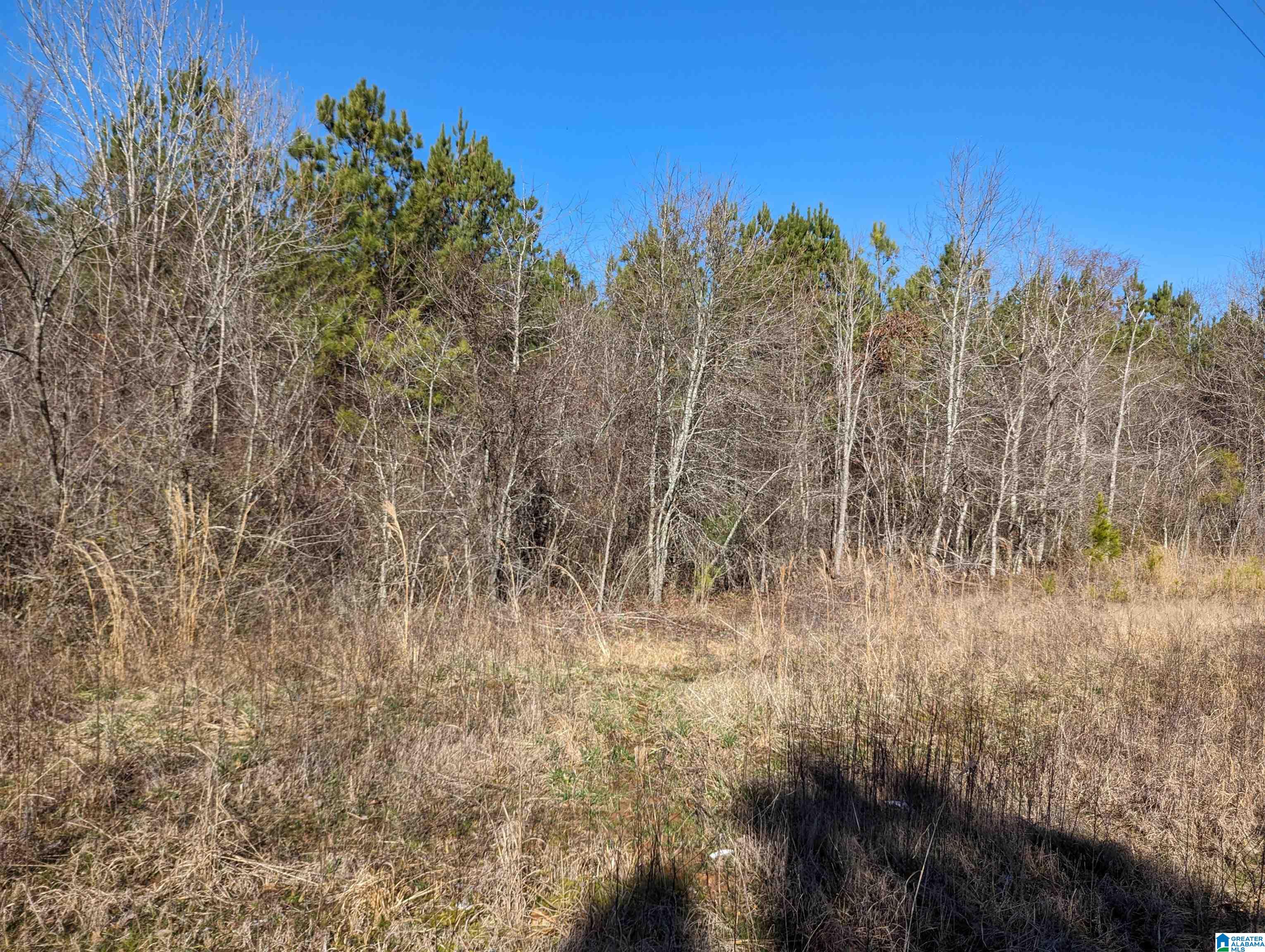 0 Chandler Springs Road Talladega, AL 35160 - Photo 17 of 35