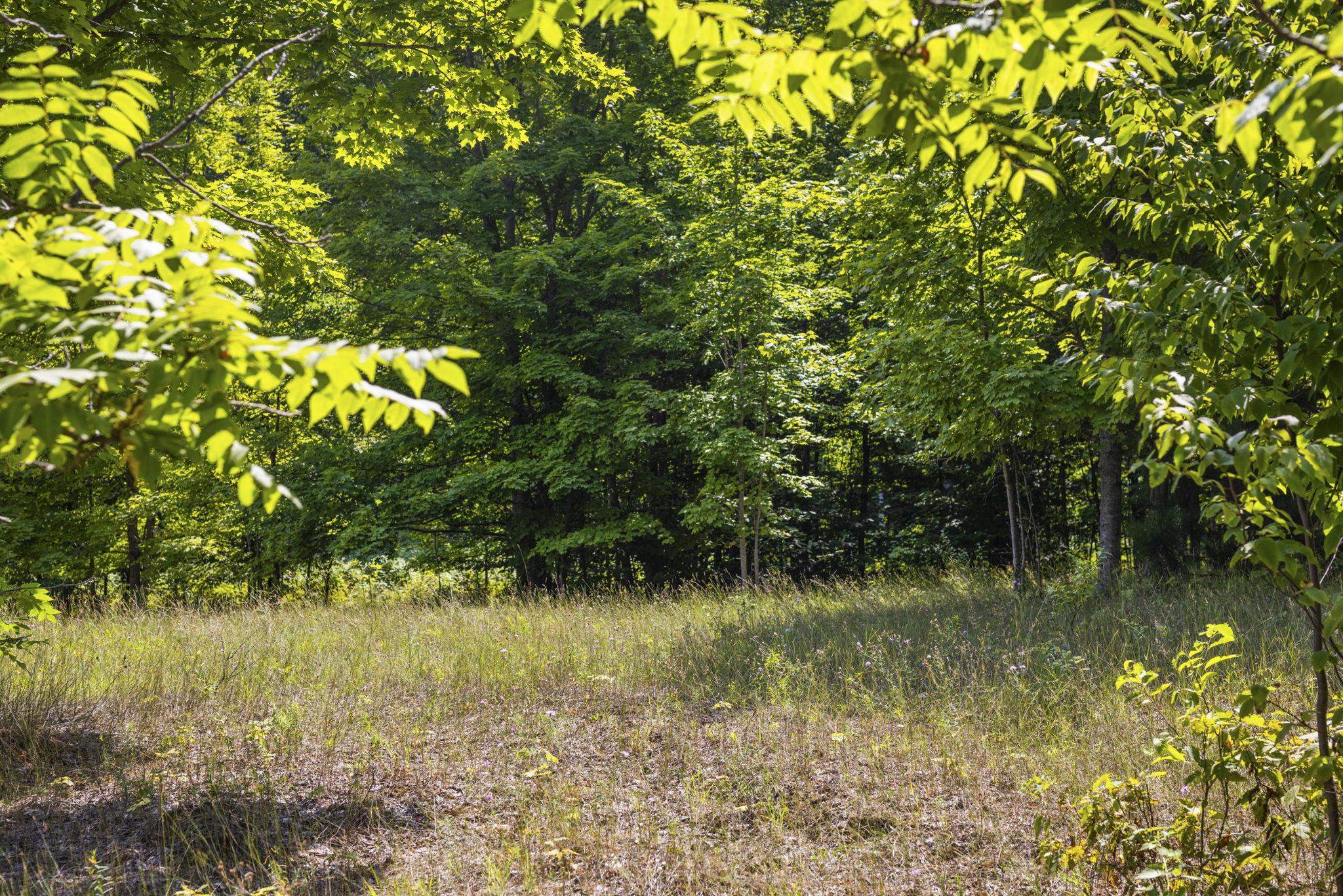 South Hill Road Cedar, MI 49621 - Photo 2 of 15