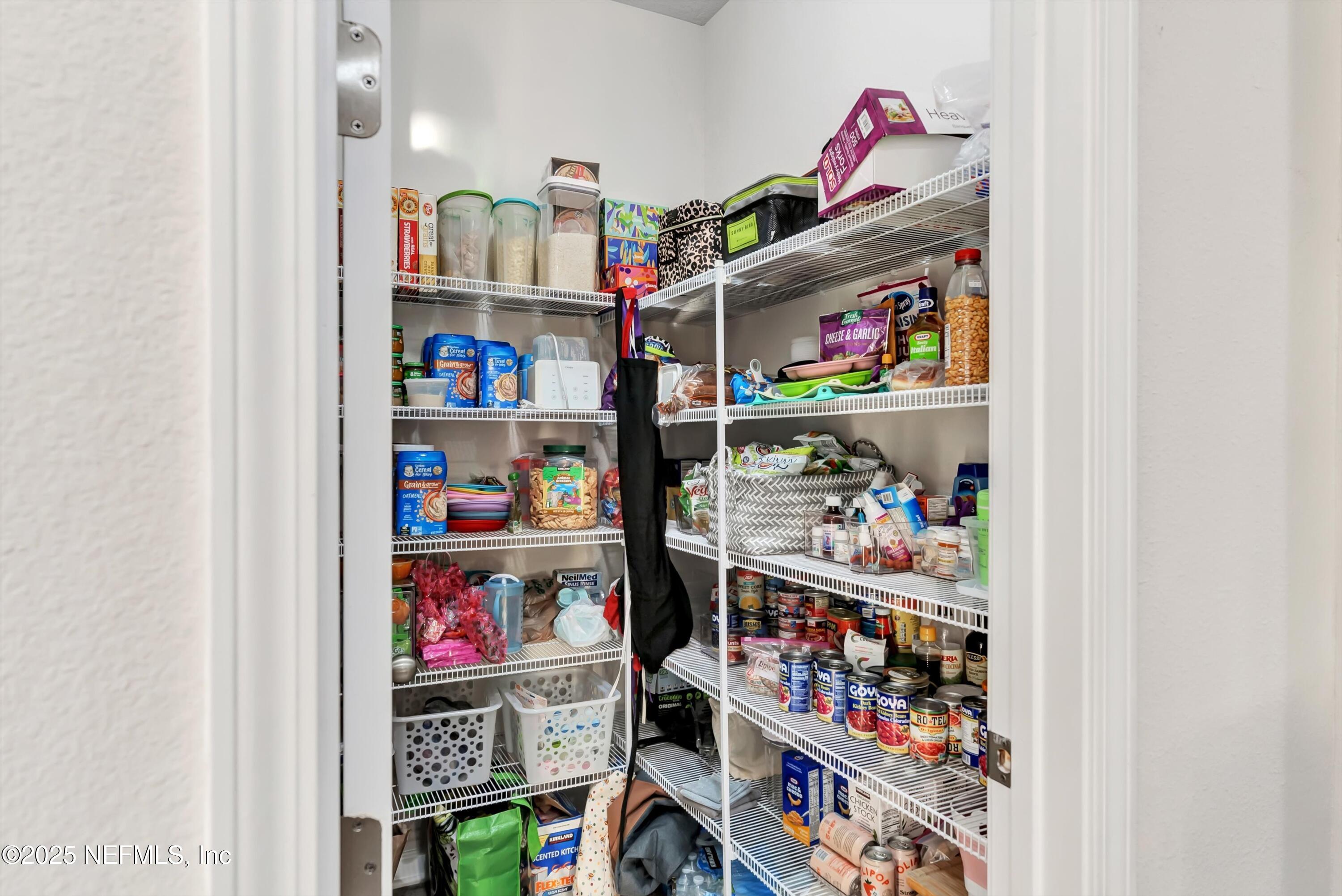 6320 Thatcher Jacksonville, FL 32222 - Photo 14 of 31 Walk in Pantry