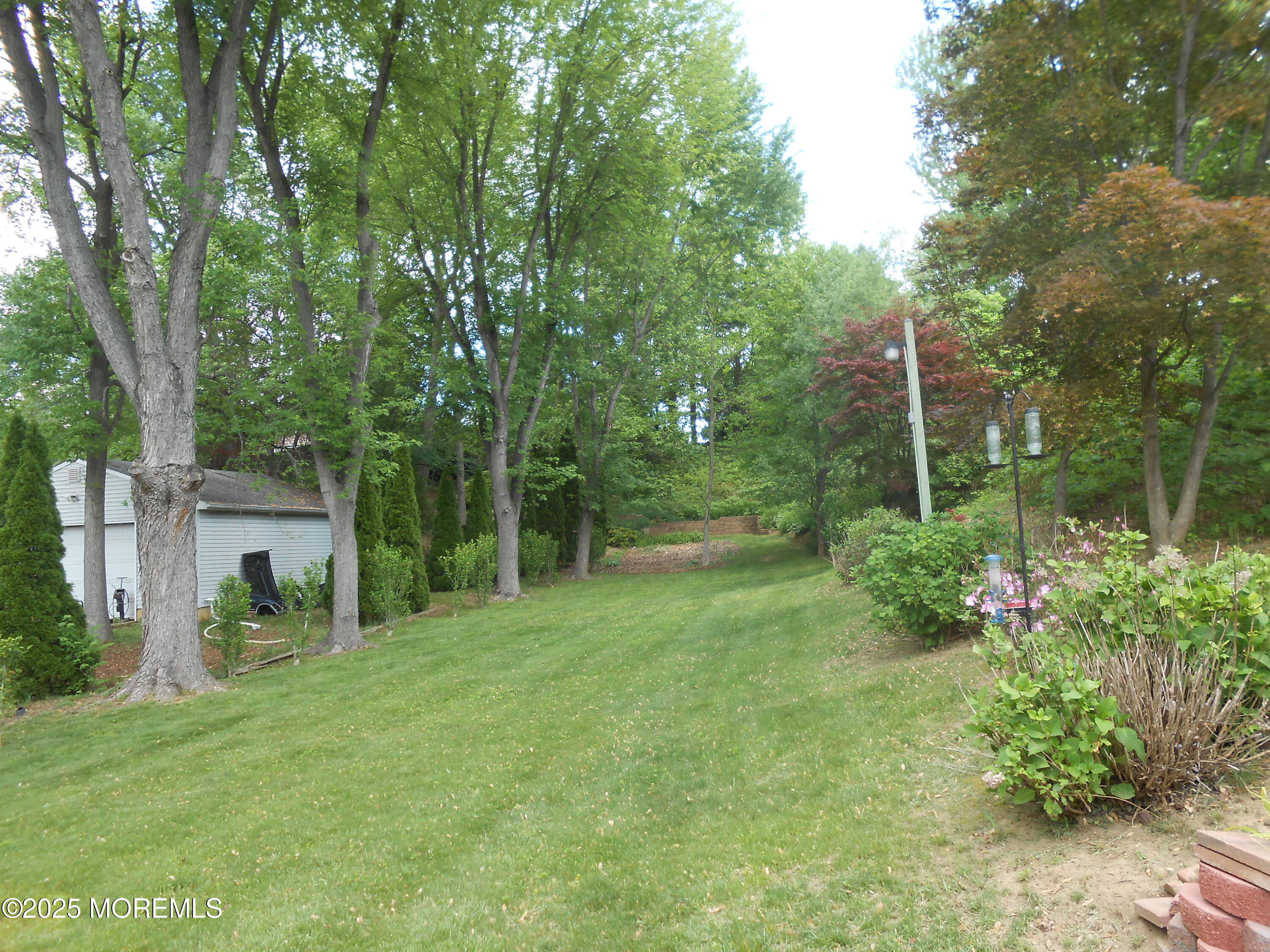 603 Bloomfield Drive Westampton, NJ 08060 - Photo 11 of 66 a view of a garden with plants and large trees