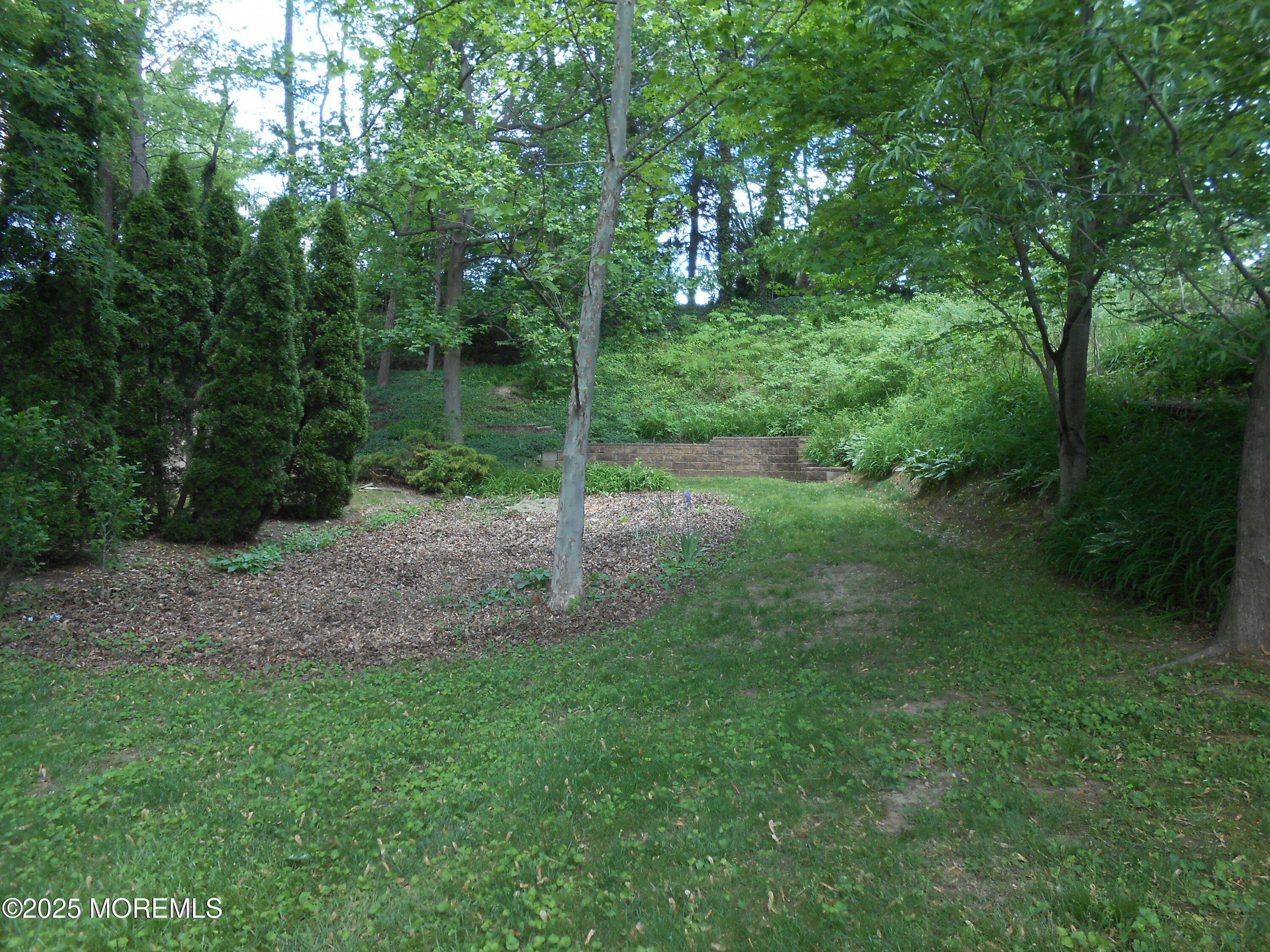 603 Bloomfield Drive Westampton, NJ 08060 - Photo 12 of 66 a view of a park with a trees