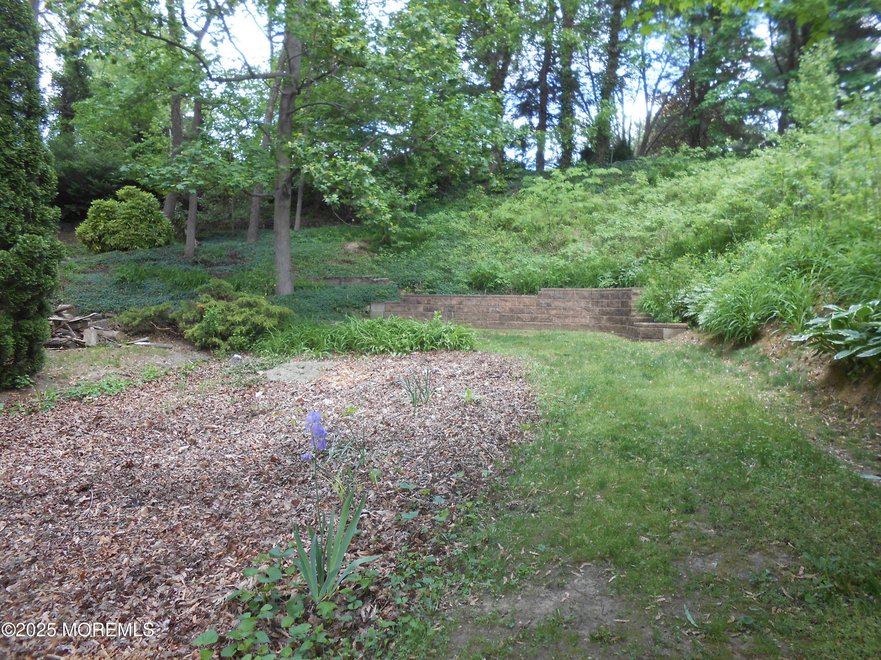 603 Bloomfield Drive Westampton, NJ 08060 - Photo 13 of 66 DSCN2753 - Copy