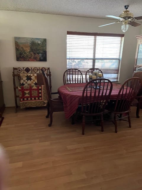 709 Elder Way Round Rock, TX 78664 - Photo 7 of 45