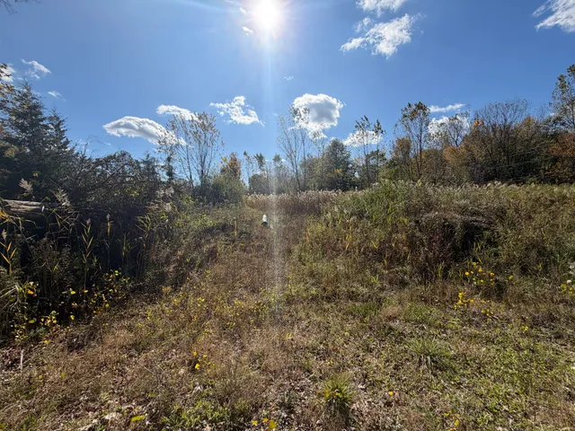 $110,000 | 12608 Rawsonville Road, Belleville, MI 48111