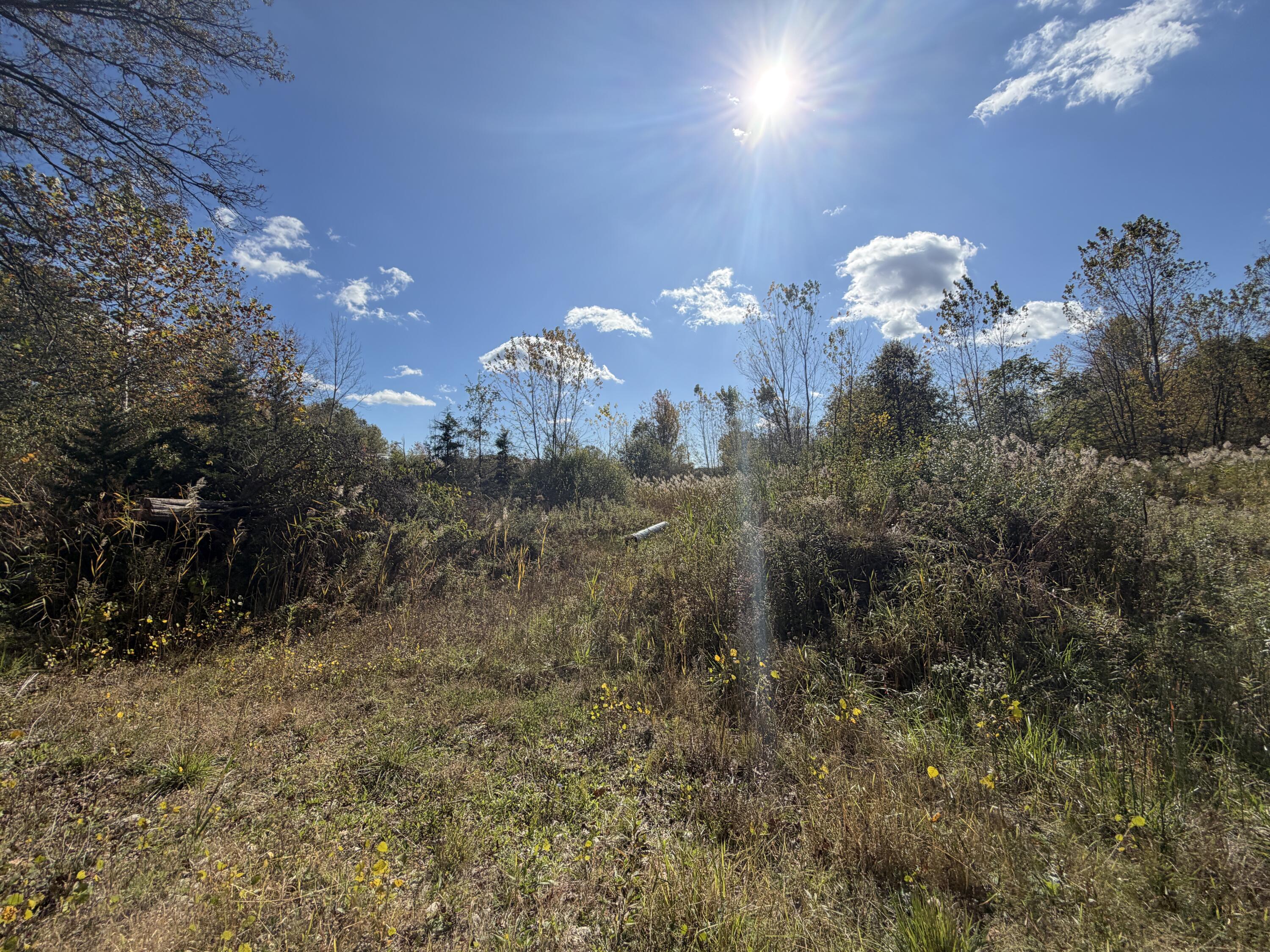 12608 Rawsonville Road Belleville, MI 48111 - Photo 11 of 12 A8E34253-F082-4225-8A00-69CE33780E1F
