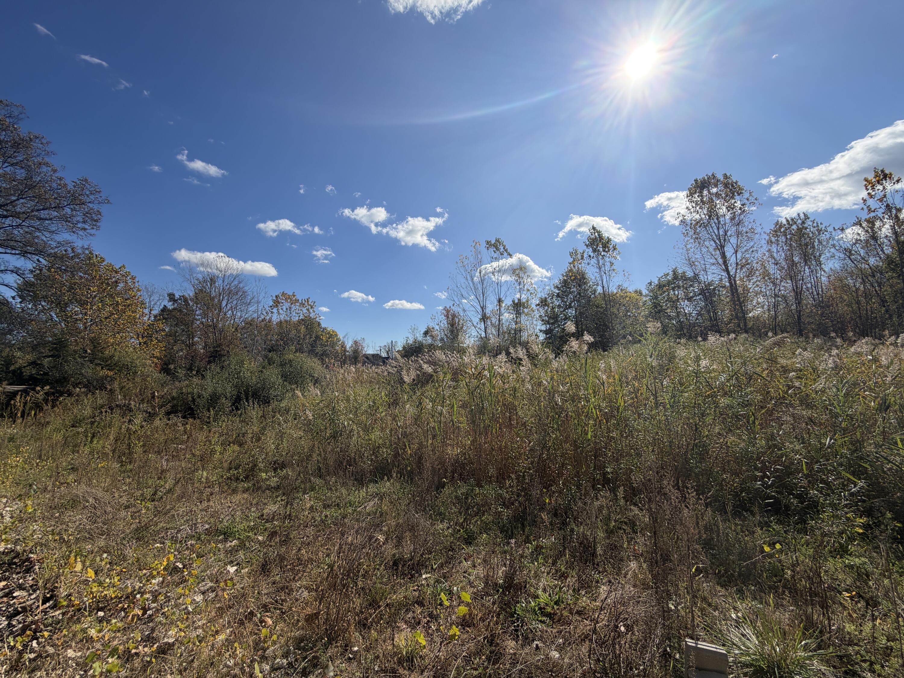 12608 Rawsonville Road Belleville, MI 48111 - Photo 5 of 12 5C0B031E-34FC-4ED9-828D-0C6FE33EB36B
