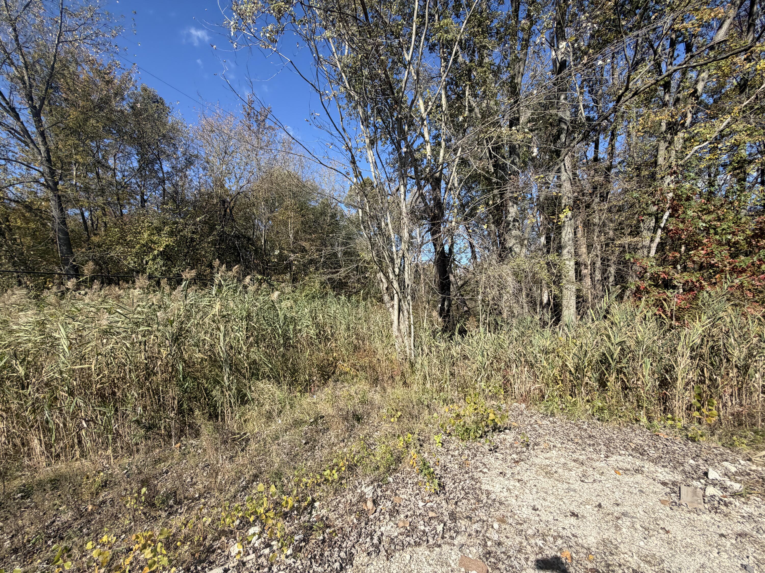 12608 Rawsonville Road Belleville, MI 48111 - Photo 7 of 12 DB4A7DD2-548A-4751-B18F-59E5EAF435CF