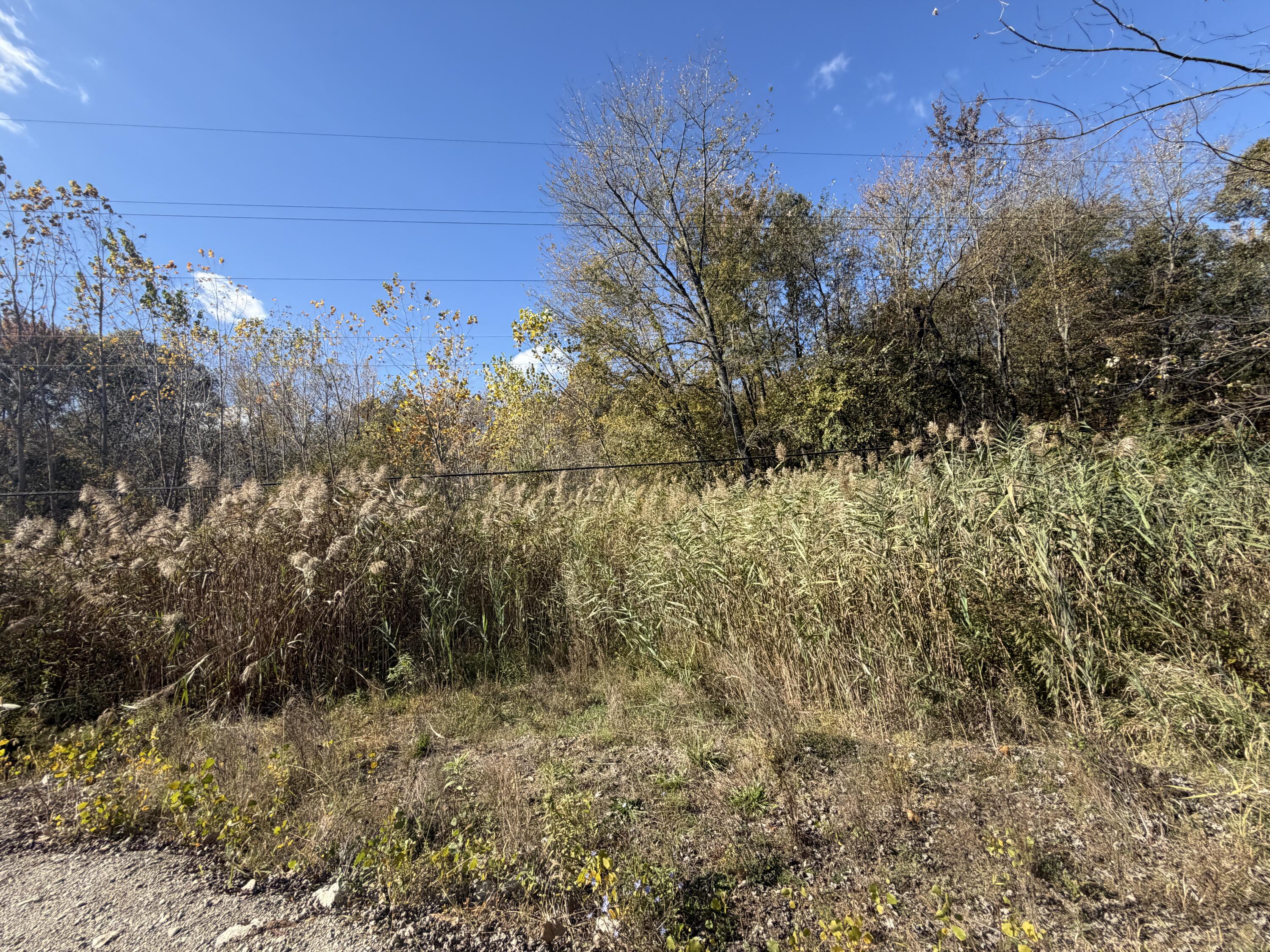 12608 Rawsonville Road Belleville, MI 48111 - Photo 8 of 12 C5B8A4A5-ABF2-4592-A2D7-A8A15F572B4A