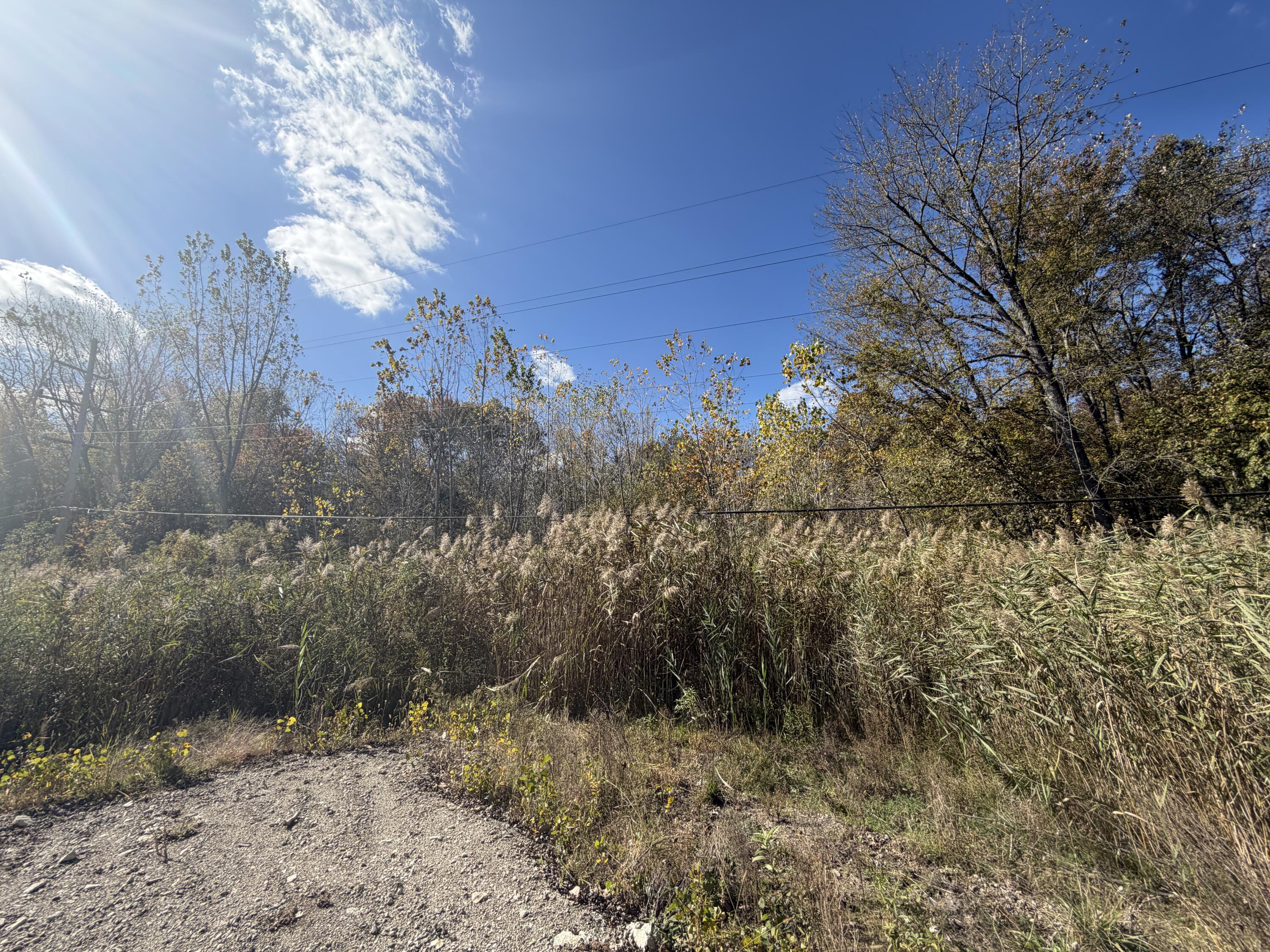 12608 Rawsonville Road Belleville, MI 48111 - Photo 9 of 12 83DC984C-BA2B-44CC-8810-A6C7F7083C4B