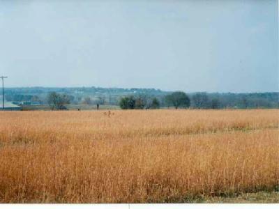 0 East 400th Road Bolivar, MO 65613 - Photo 1 of 1 Primary Photo