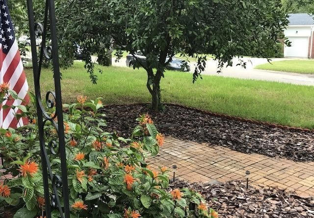 1677 Geraldine Drive Jacksonville, FL 32205 - Photo 44 of 52 a view of a garden