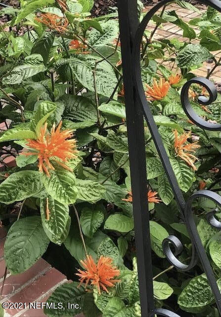 1677 Geraldine Drive Jacksonville, FL 32205 - Photo 5 of 52 unknown