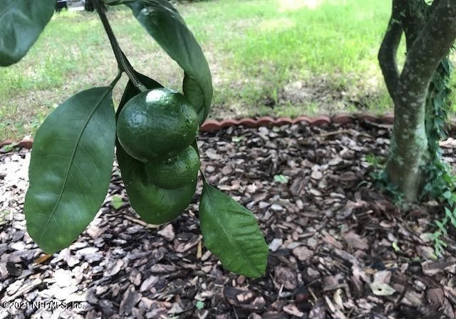 1677 Geraldine Drive Jacksonville, FL 32205 - Photo 7 of 52 f7d9da2ff91d54171391299a3fb49304l-m5xd-w