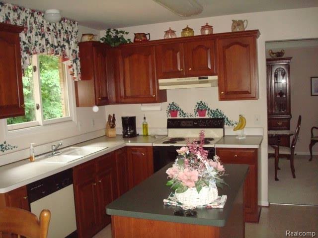3627 Joshua Drive Rochester, MI 48307 - Photo 6 of 29 kitchen 1.jpg