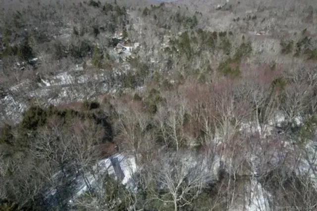 a view of a covered with green space