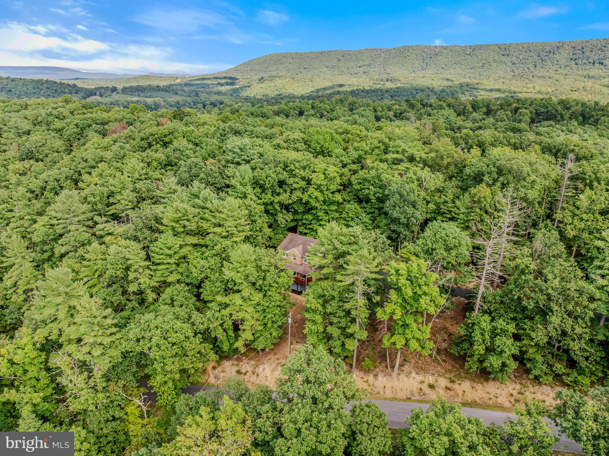 1787 Spohrs Road Berkeley Springs, WV 25411 - Photo 43 of 49 Aerial View
