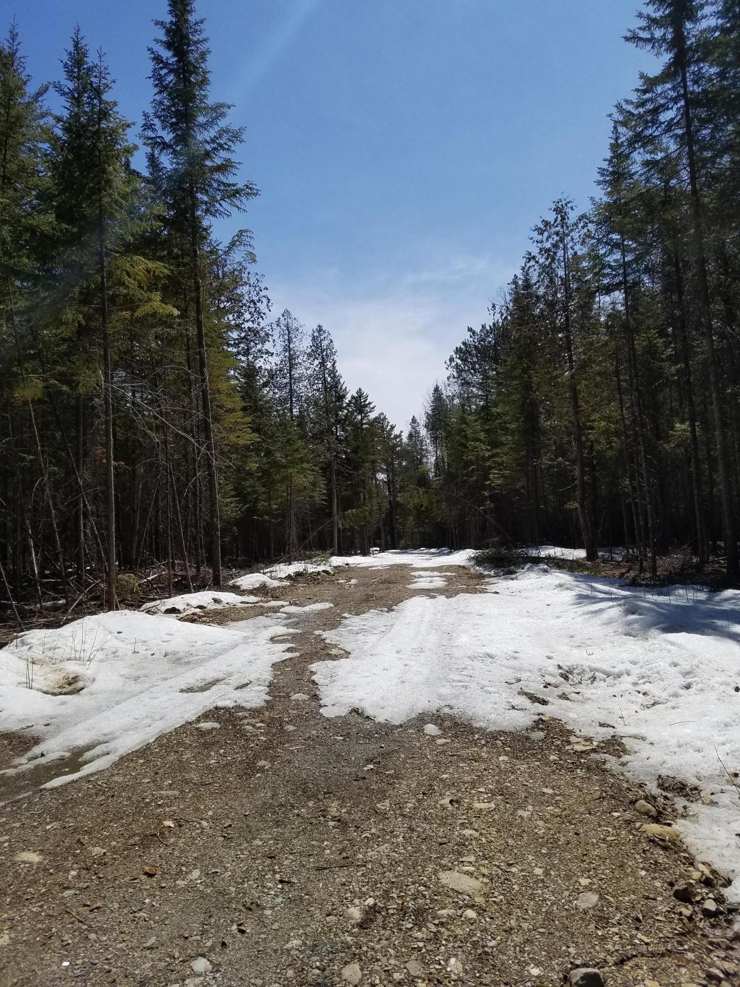 Tbd Tbd R03-lot 4) Eustis Ridge Road Eustis, ME 04936 - Photo 2 of 6 Drive way in