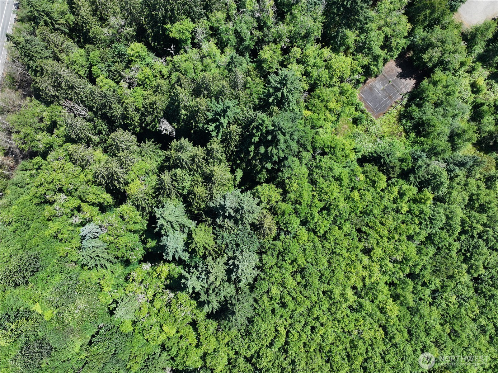 20249 Highway 305 Poulsbo, WA 98370 - Photo 13 of 25 an aerial view of a house with a yard