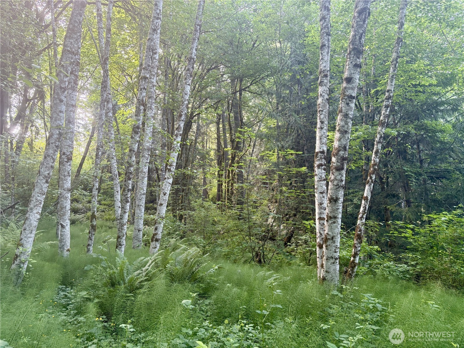 20249 Highway 305 Poulsbo, WA 98370 - Photo 16 of 25 a aerial view of residential houses with outdoor space and trees