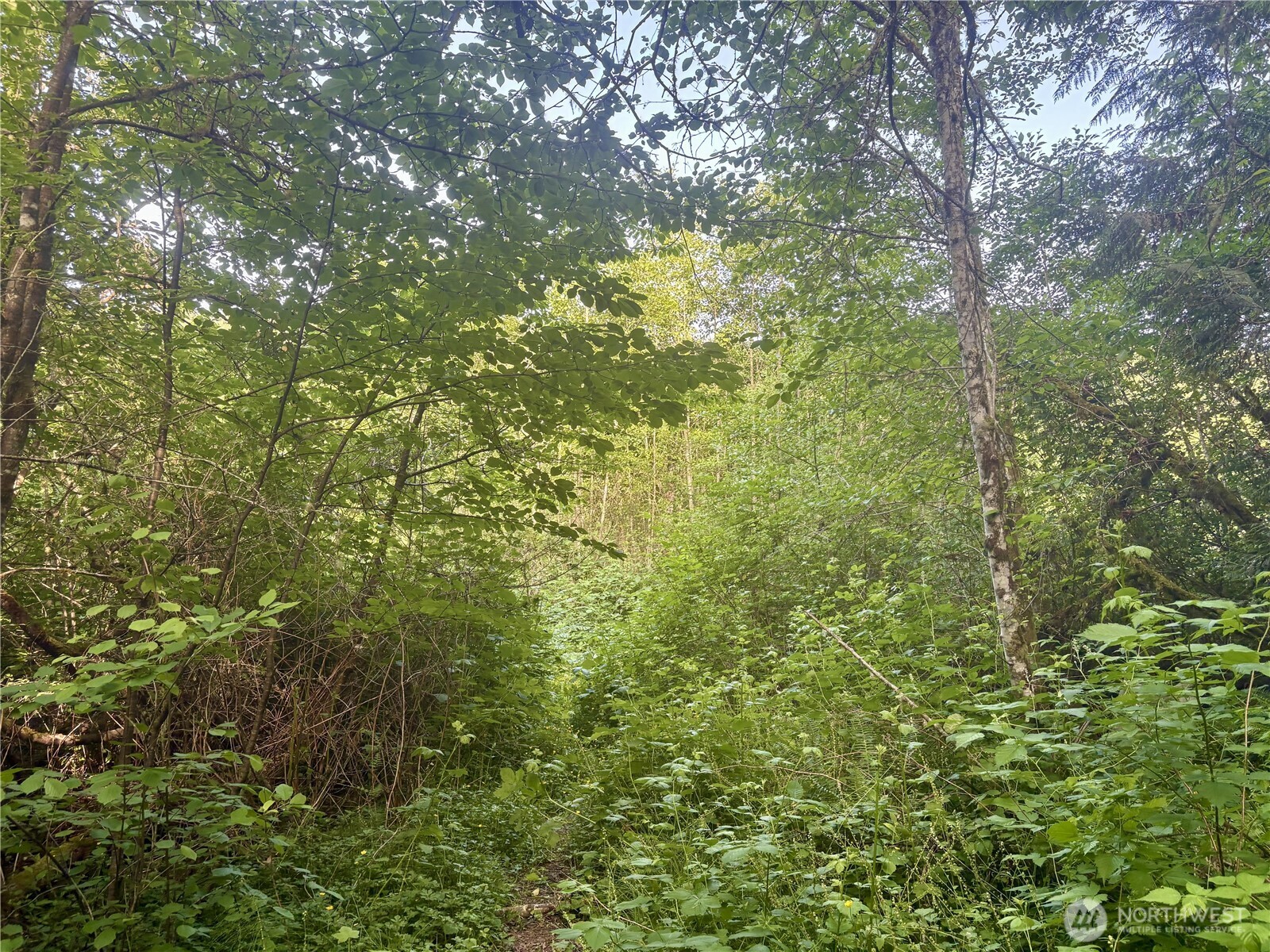 20249 Highway 305 Poulsbo, WA 98370 - Photo 17 of 25