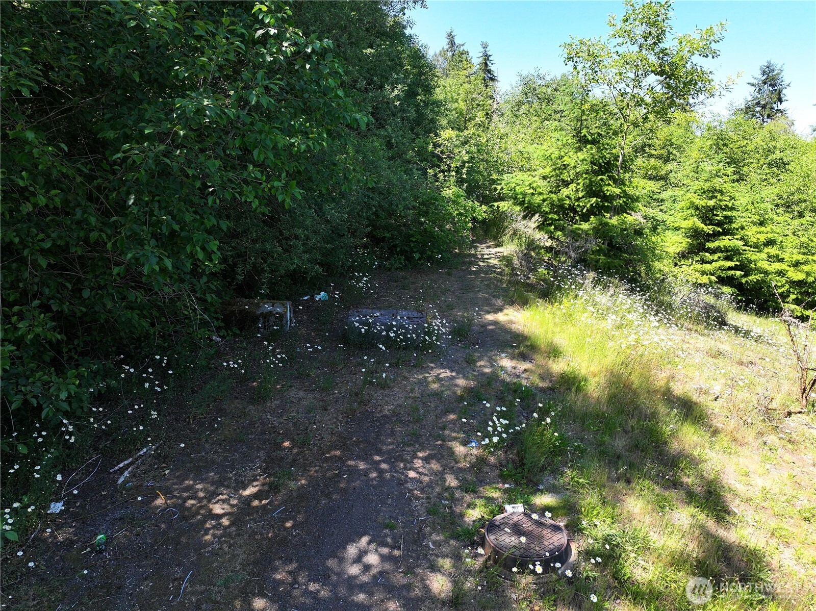 20249 Highway 305 Poulsbo, WA 98370 - Photo 25 of 25 a view of a forest