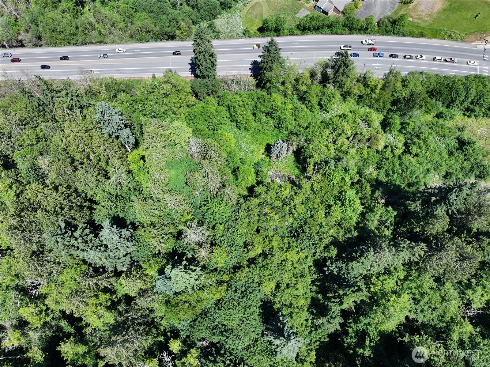 20249 Highway 305 Poulsbo, WA 98370 - Photo 10 of 25 an aerial view of a yard with plants and large trees