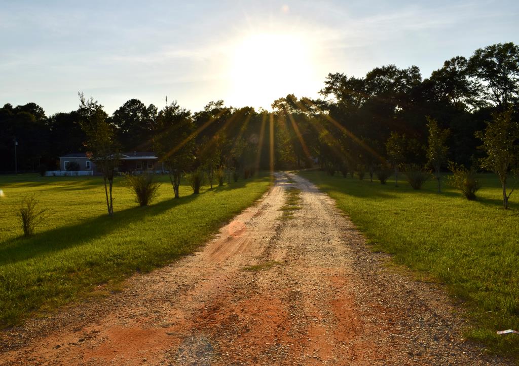 7252 County Road 49 Slocomb, AL 36375 - Photo 3 of 75