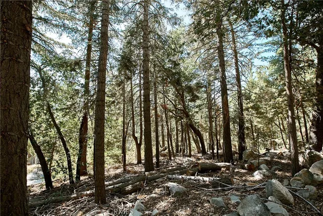 $575,000 | 6204 Spruce Avenue, Angelus Oaks, CA 92305