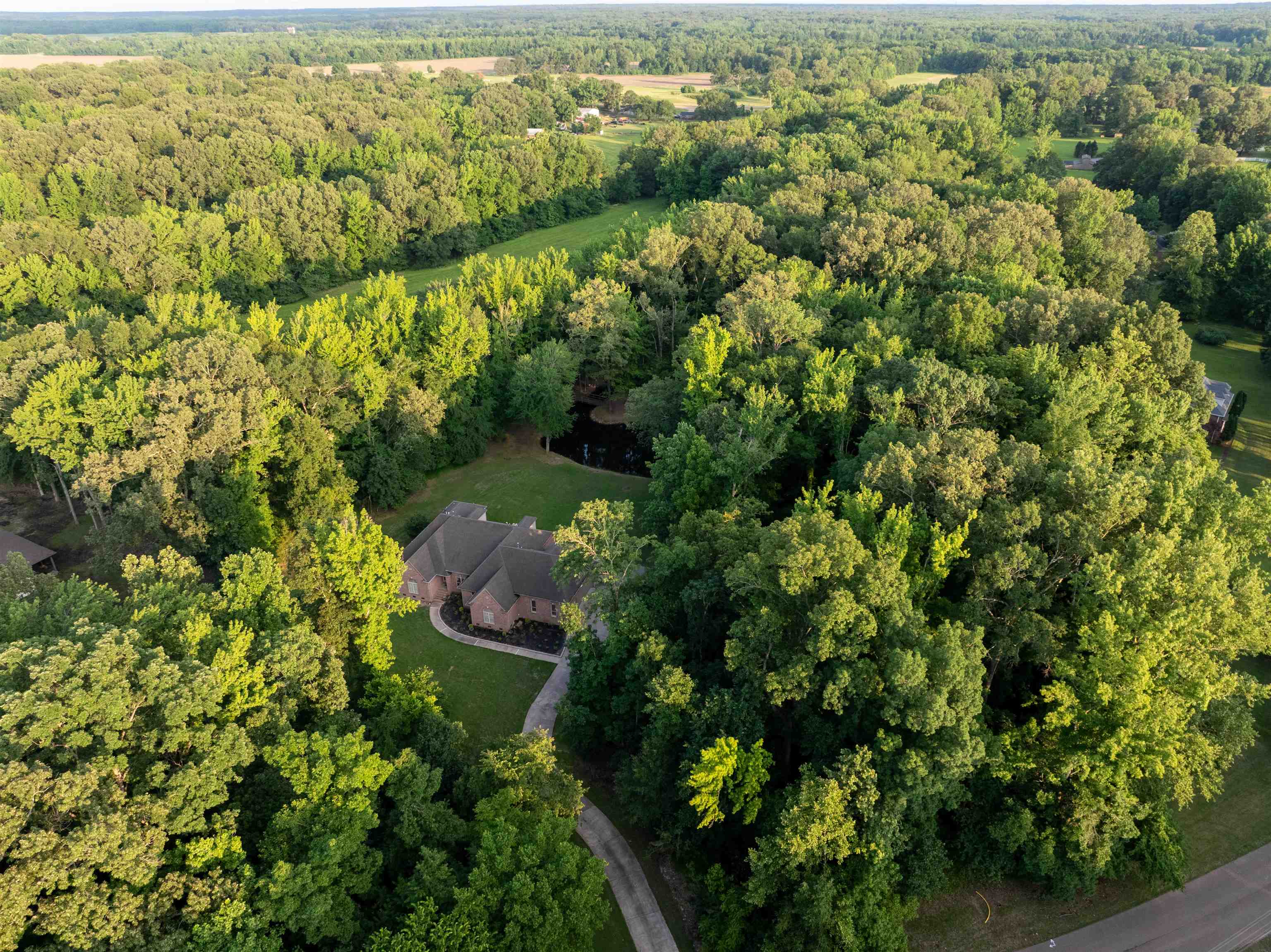 580 Hickory Lake Road Eads, TN 38028 - Photo 2 of 40 a view of a forest with a lake