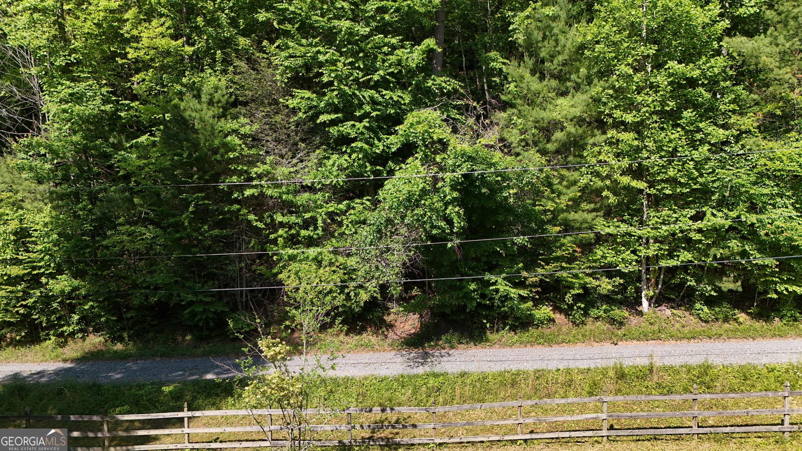 0 Gold Springs Road Ellijay, GA 30540 - Photo 9 of 13