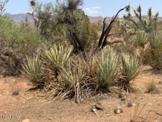 60 East Ocotillo Yucca, AZ 86438 - Photo 2 of 9 2