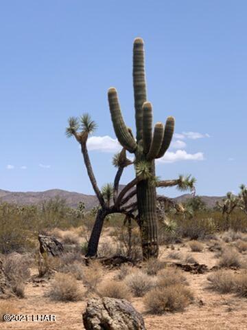 60 East Ocotillo Yucca, AZ 86438 - Photo 4 of 9 4