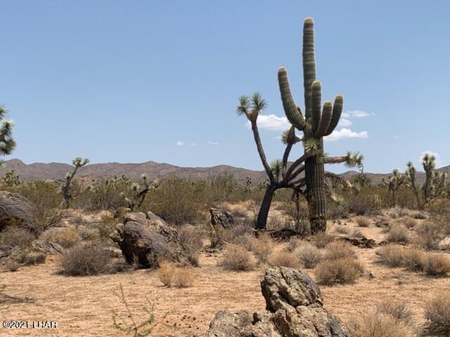 60 East Ocotillo Yucca, AZ 86438 - Photo 6 of 9 6